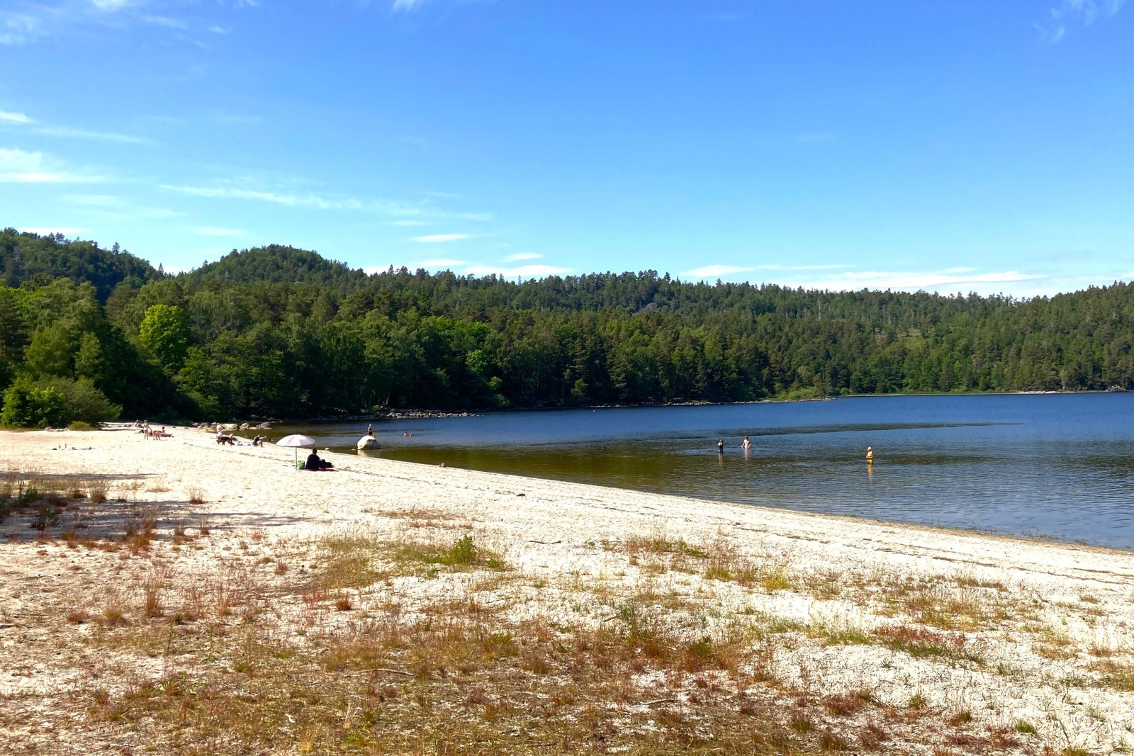 Kun 2 km. til Roresanden Galleribilde