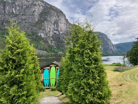 Vakker natur Galleribilde