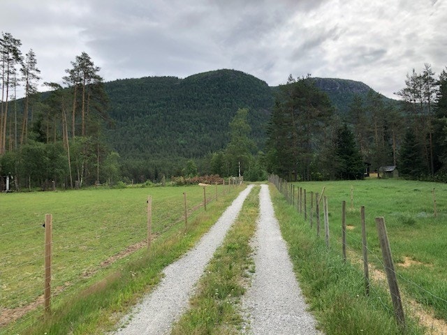 Turister kommer langveis fra for å nyte den
flotte naturen i området Galleribilde