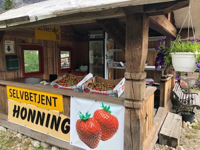 Her kan man få tak i "kortreiste" jordbær Galleribilde