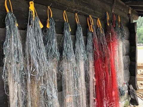 Muligheter for fiske i Otra - husk å kjøpe fiskekort Galleribilde