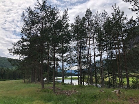 Boligen
ligger i dalføre med elven Otra rennende forbi like i
nærheten Galleribilde