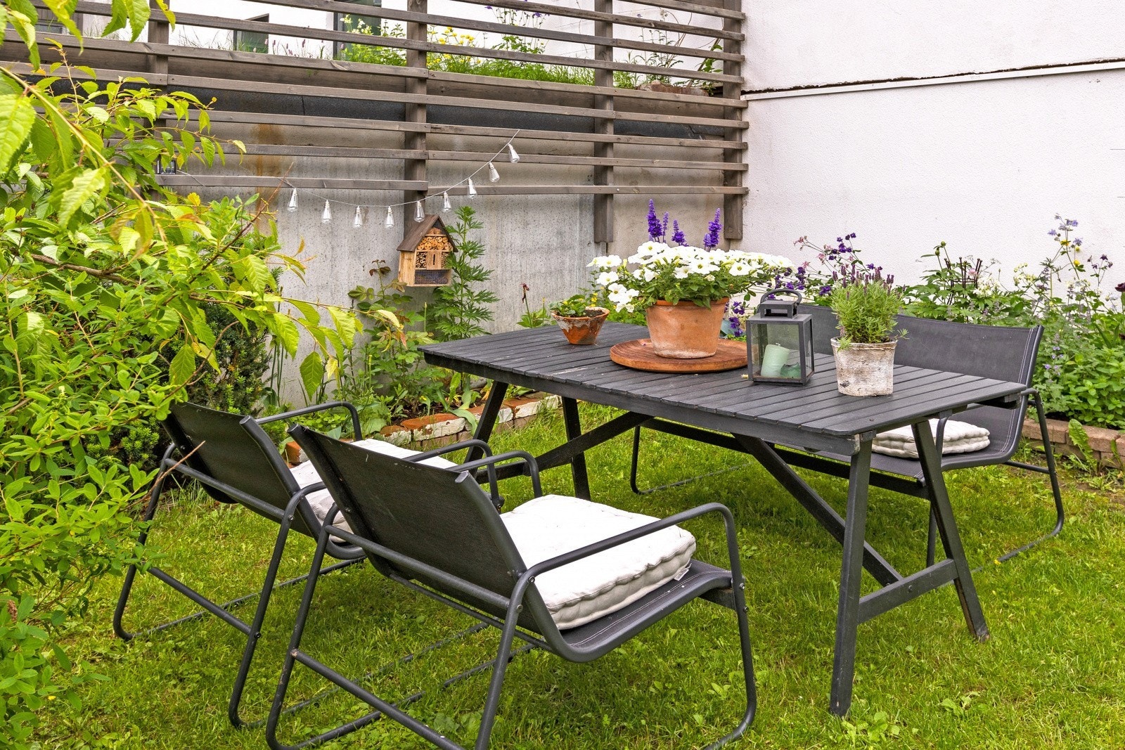 Sommerbilder i Bankgata 23. Galleribilde