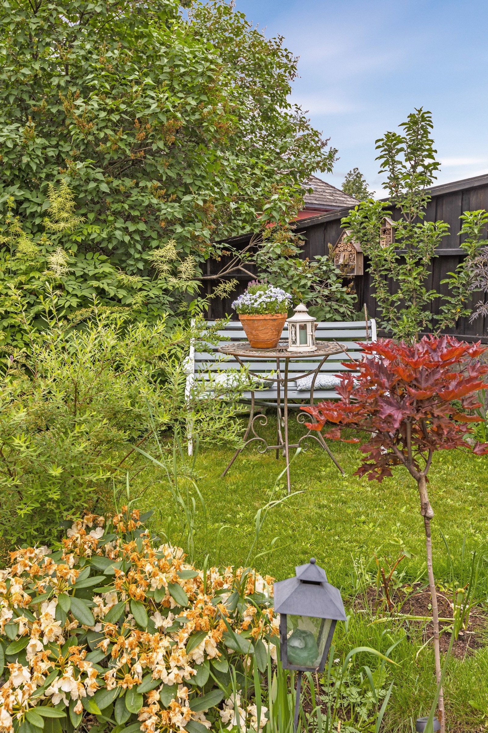 Sommerbilder i Bankgata 23. Galleribilde