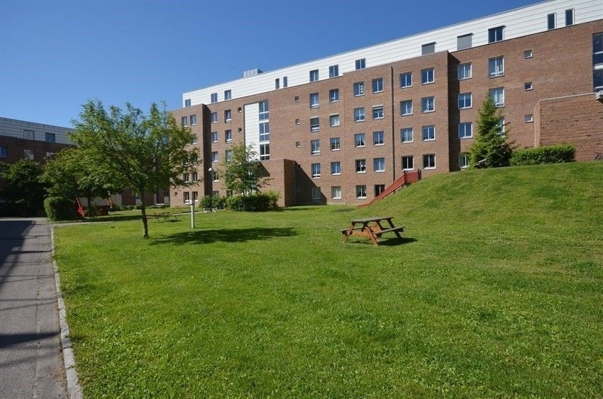 Grøntområder Galleribilde