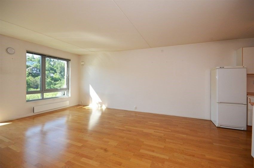 Stue Galleribilde