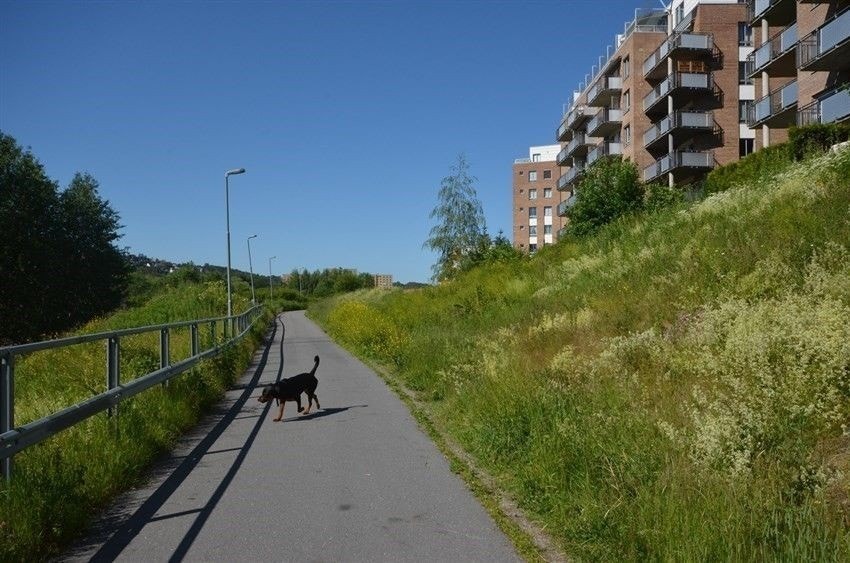 Turstien langs Alnaelva ligger rett nedenfor, lett tilgjengelig Galleribilde