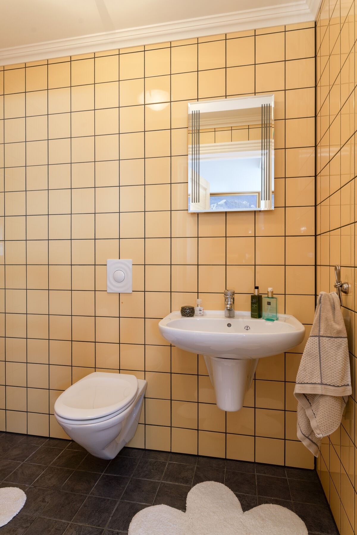 WC rom ved gang. Utstyrt med veggmontert toalett og servant. Galleribilde