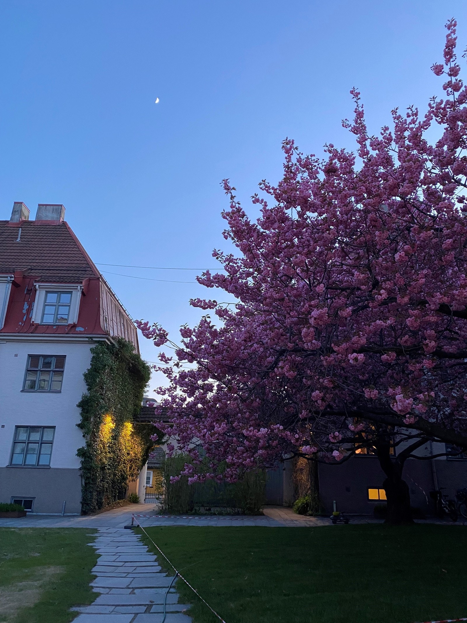 Stemningsbilder fra selger Galleribilde