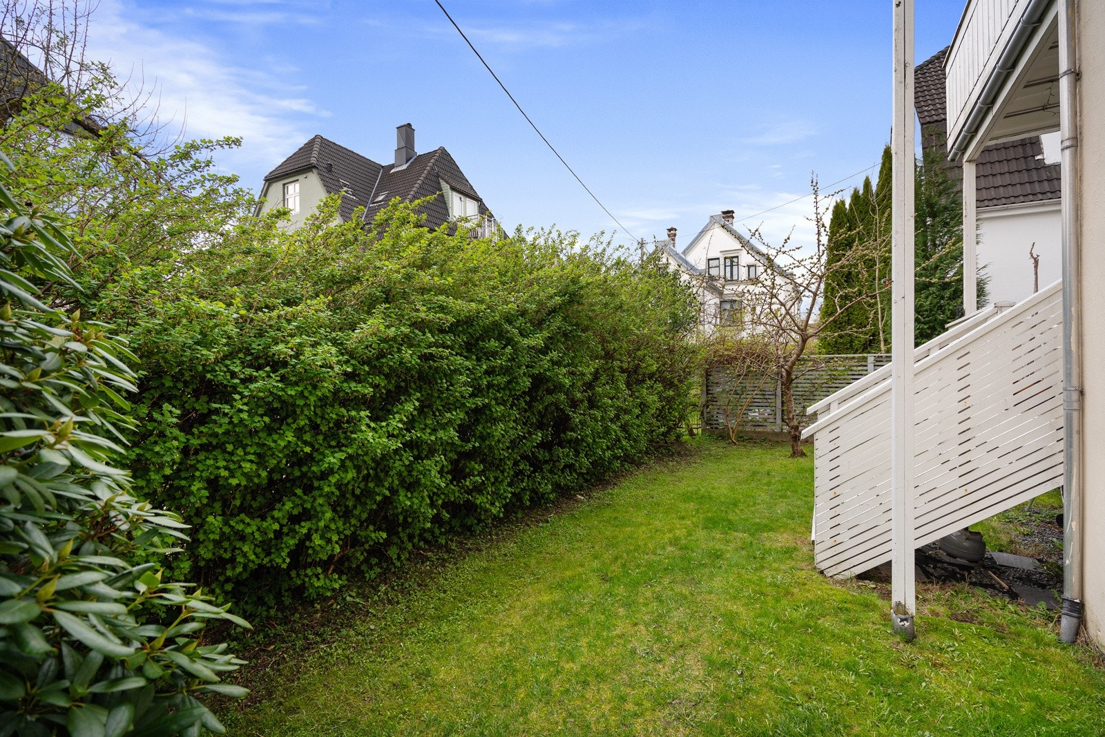 Felles hage. Galleribilde