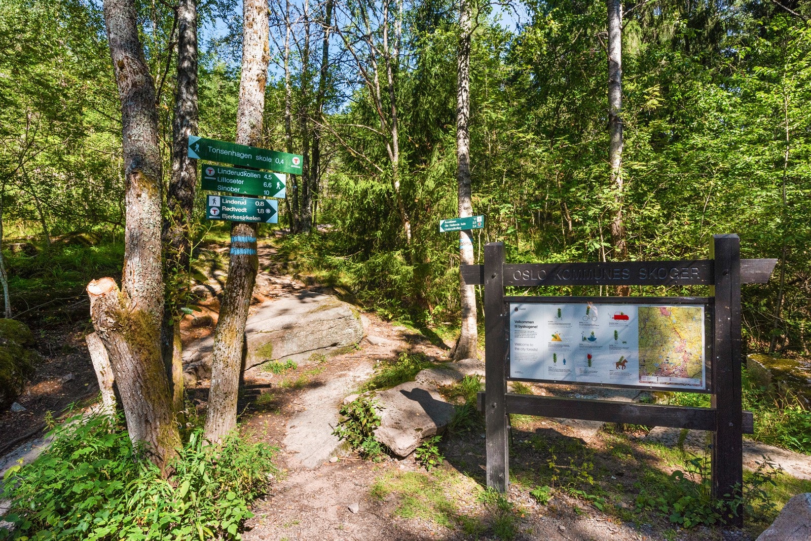 Lillomarka har uttallige rekreasjonsmuligheter Galleribilde