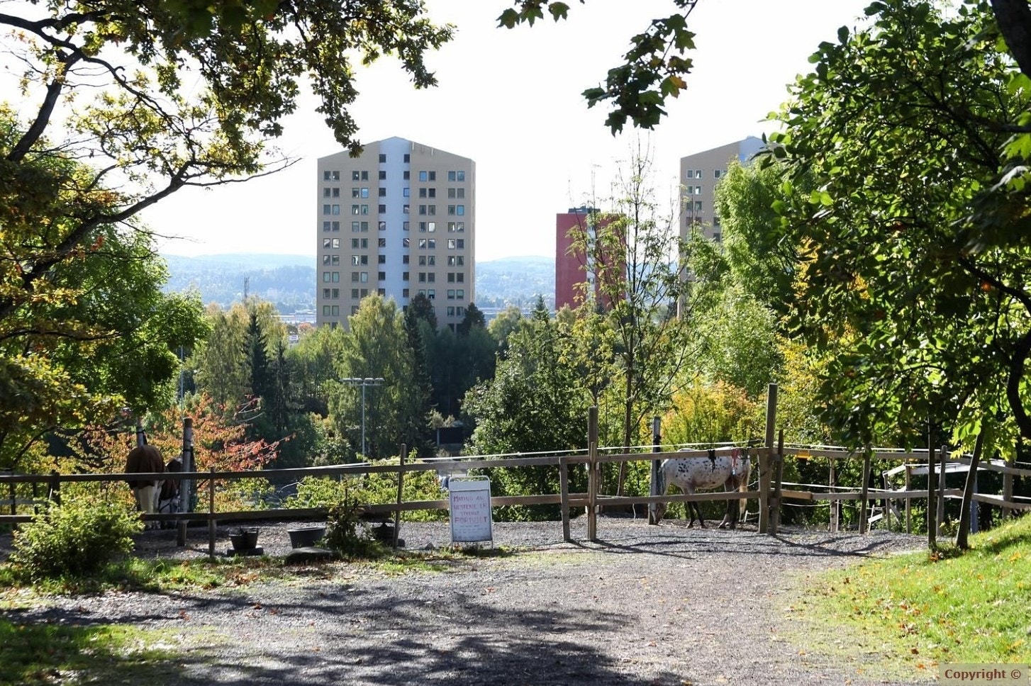 Hyggelige Årvoll Gård ligger like i nærheten Galleribilde