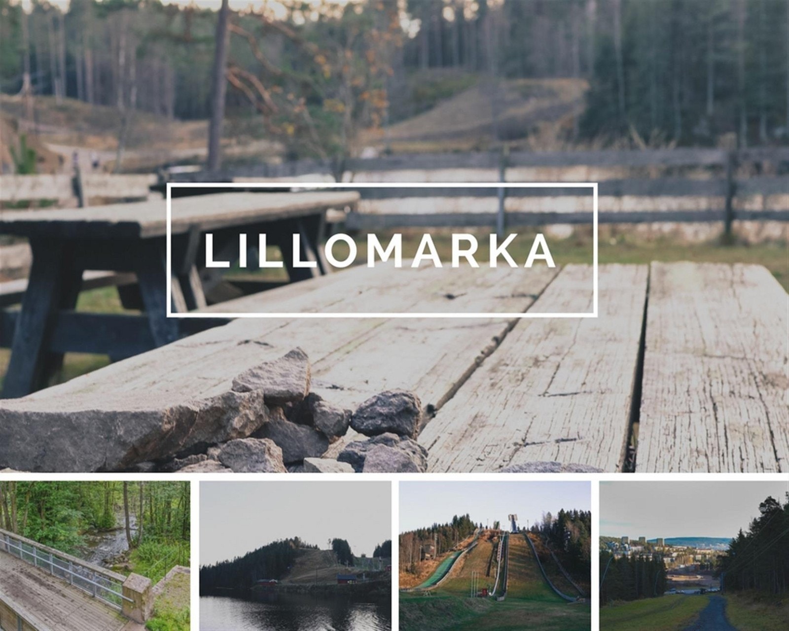 Lillomarka Galleribilde