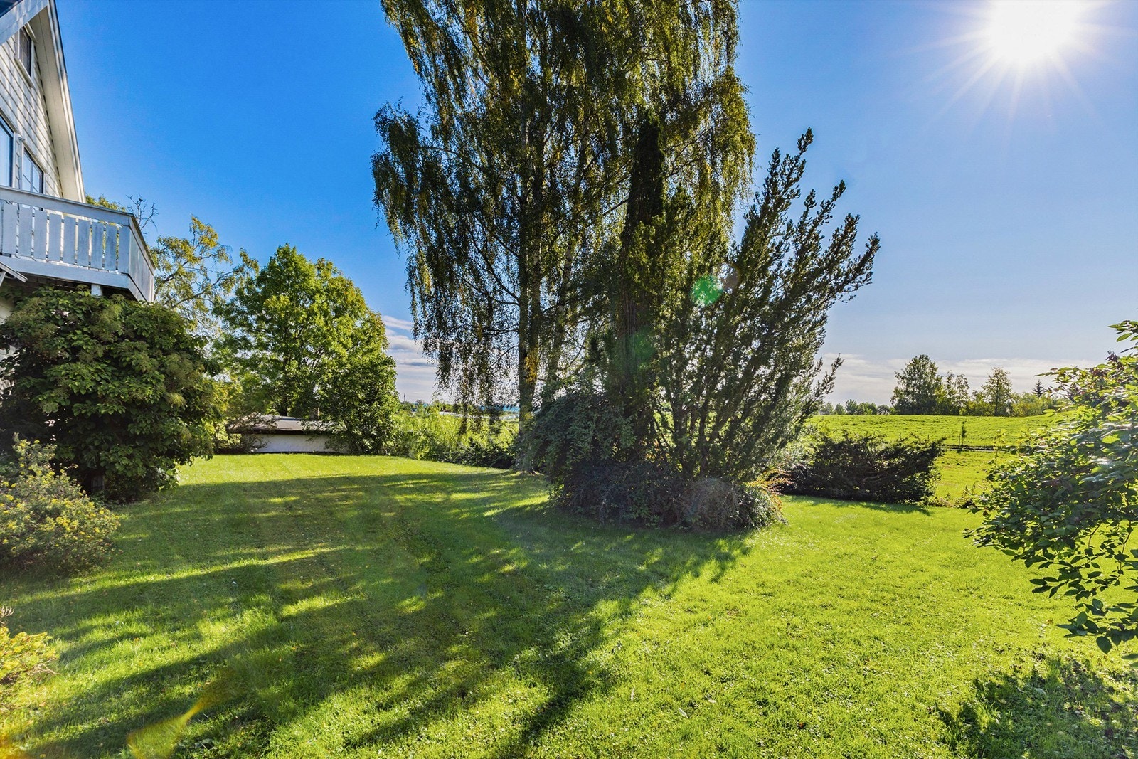 Fantastisk hage! Galleribilde