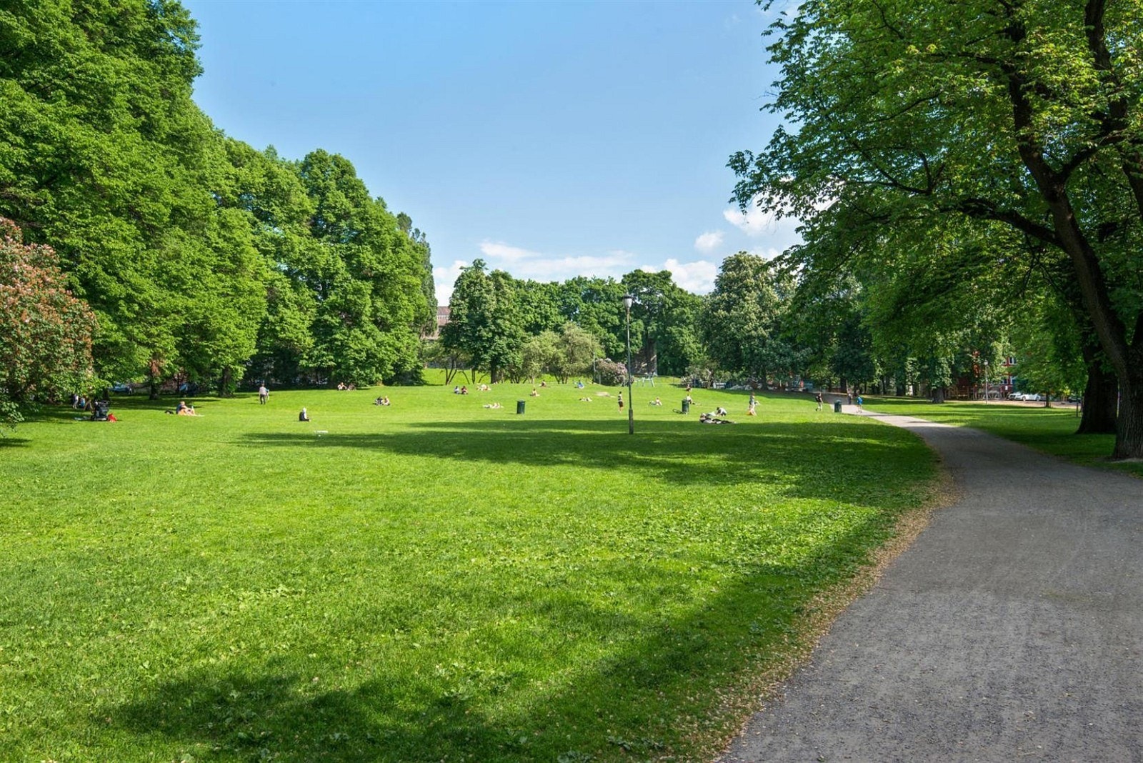 Det er en rekke parker i nærheten av leiligheten. Galleribilde
