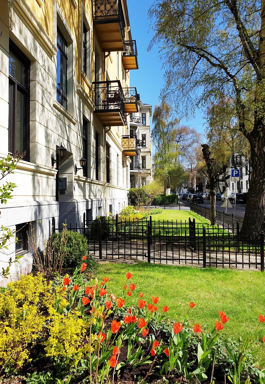 Forhage med plen, planter og smijernsgjerde mot Sorgenfrigata. Galleribilde