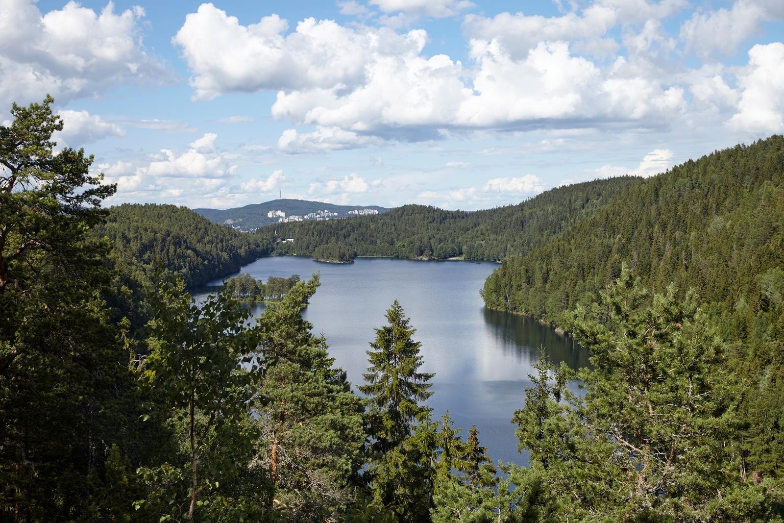 Badevann, fiskevann og uendelige turmuligheter finner du i nærområdet. Galleribilde