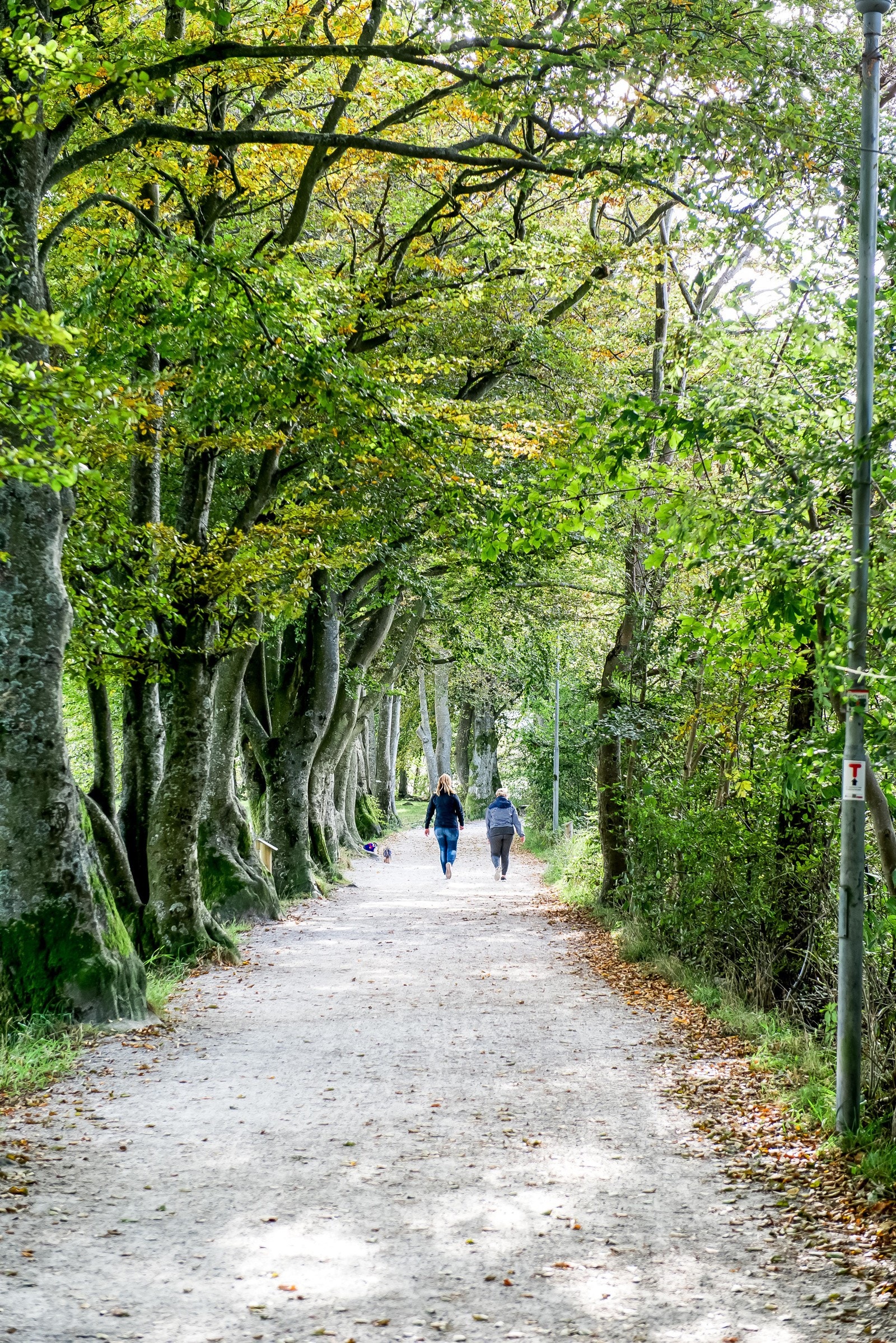 En liten spasertur unna ligger Mosvatnet med hyggelig tursti. Galleribilde