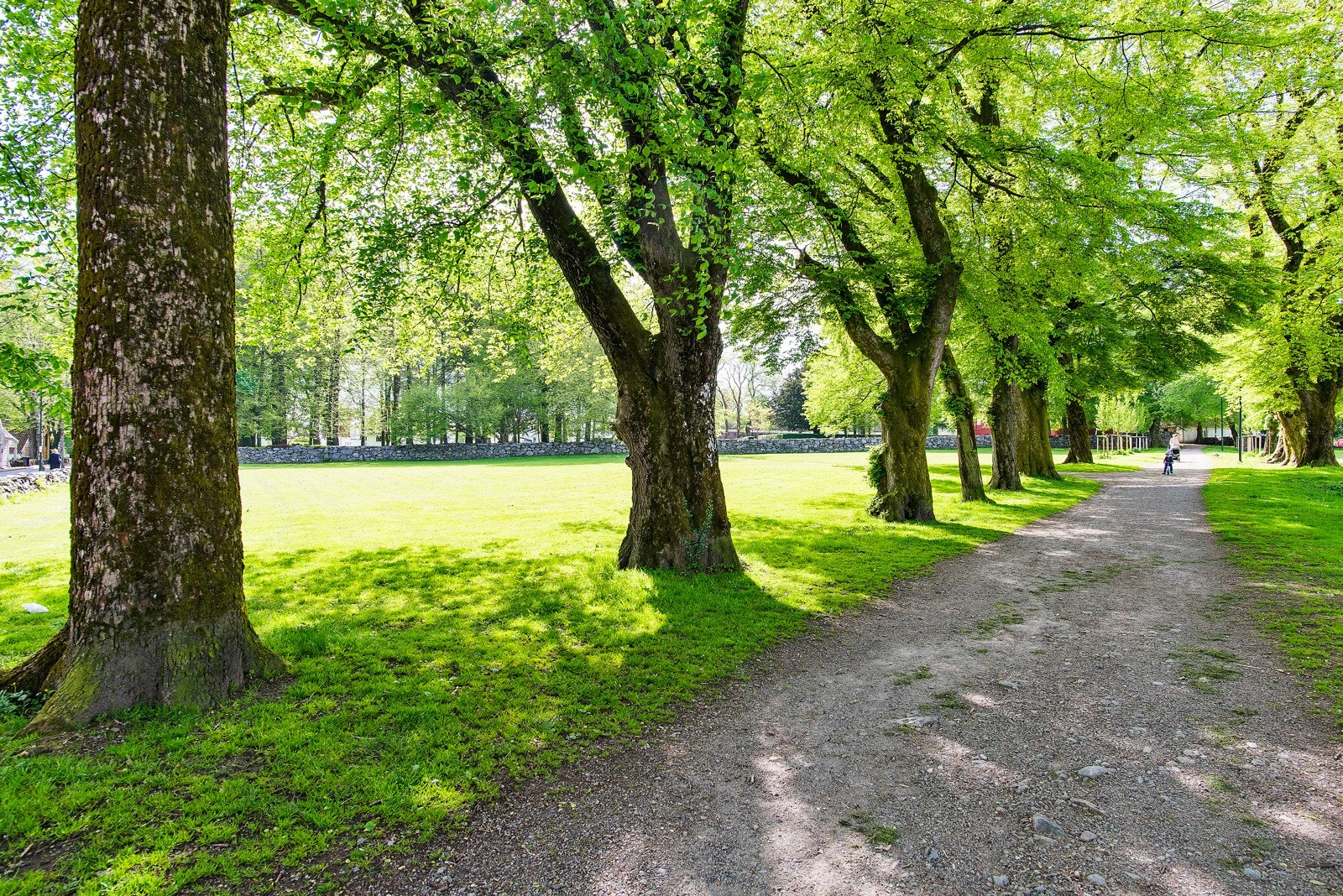 I nærområdet ligger Ledaalparken hvor man blant annet kan benytte seg av Matmagasinet. Galleribilde