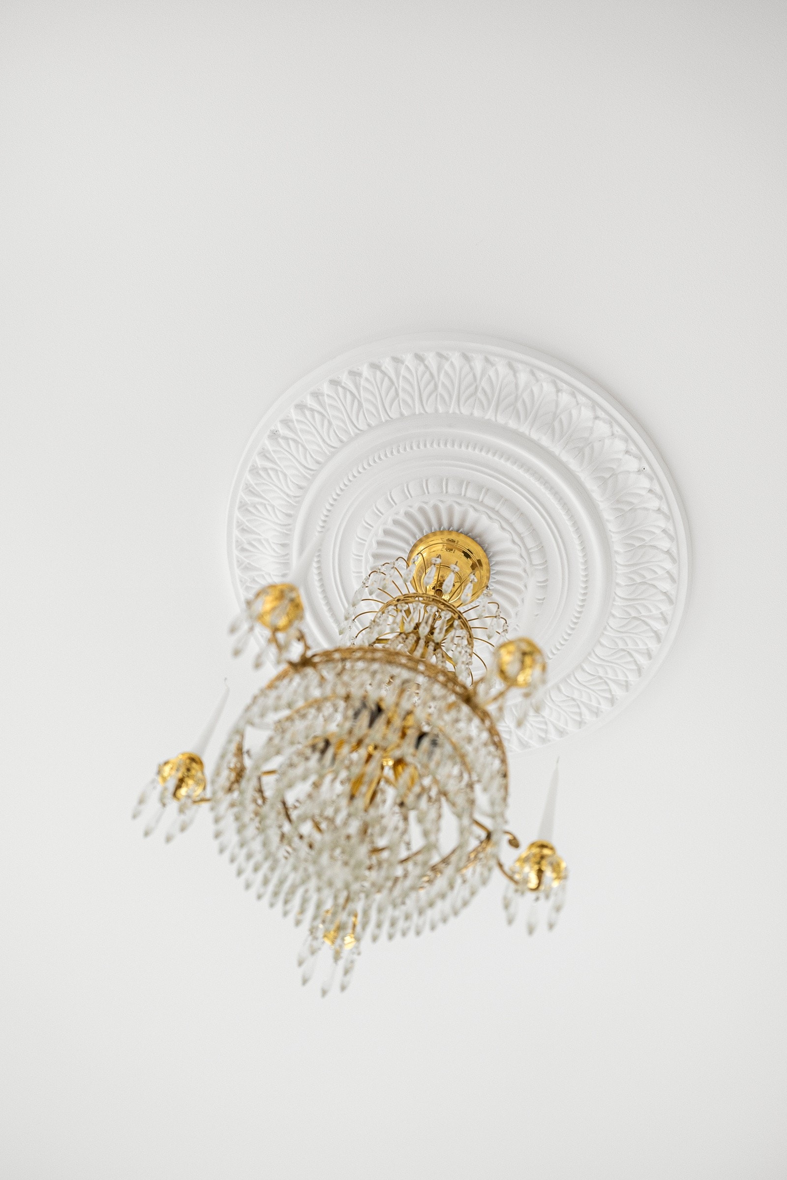 Det er montert nye, klassiske rosetter i himlingene. Galleribilde