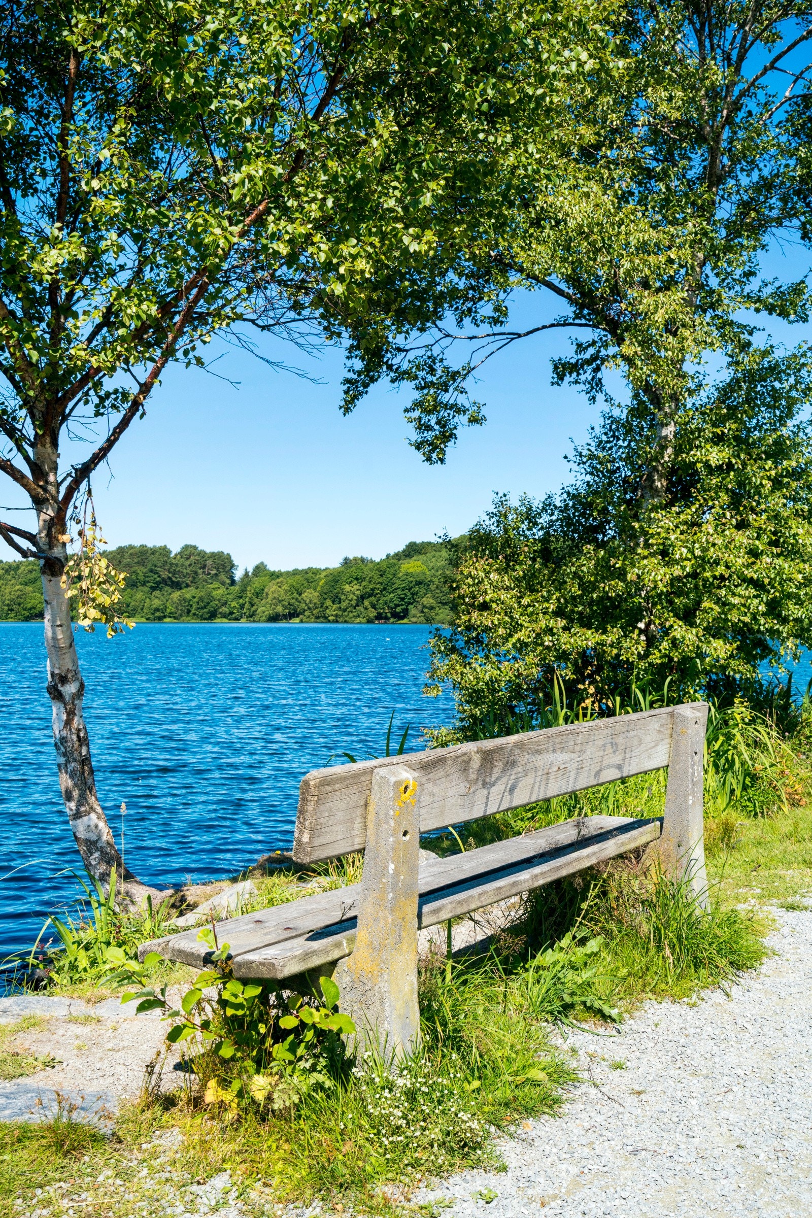 Turstien er en av de mest brukte i hele byen og er godt tilrettelagt for både barnevogn og rullestol. Galleribilde