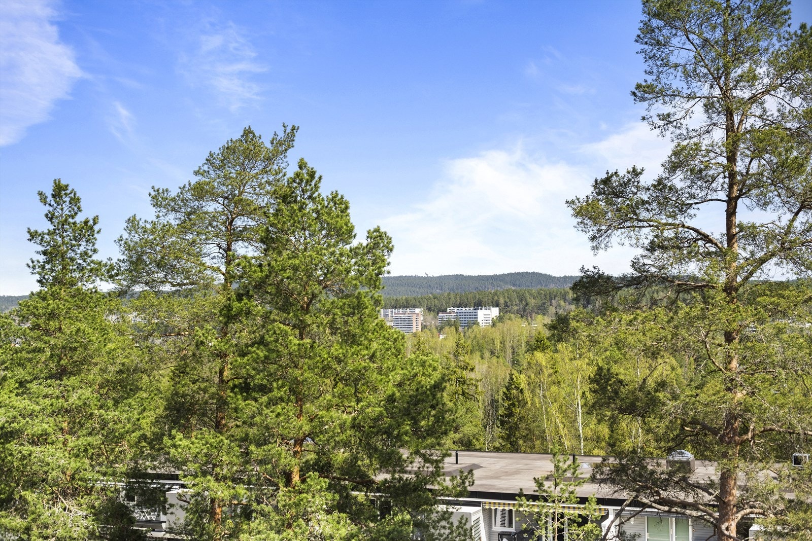 Utsikt fra stue og kjøkken. Galleribilde