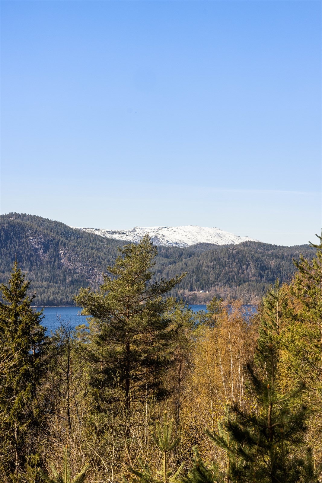 Det medfølger også rett til båtplass i Seljordsvannet Galleribilde