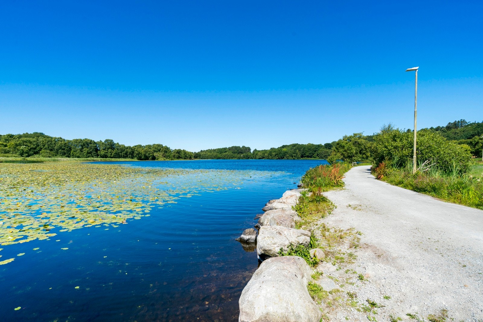 Nærområdet Galleribilde