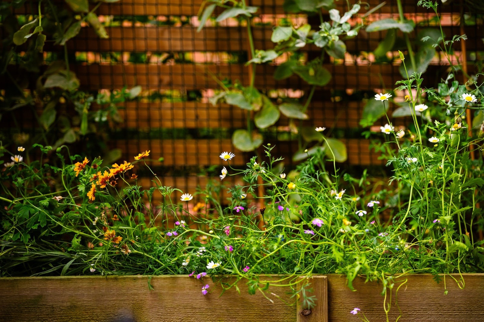 Nå som våren har kommet vil du kunne ha mye glede av den flotte uteplassen. Galleribilde