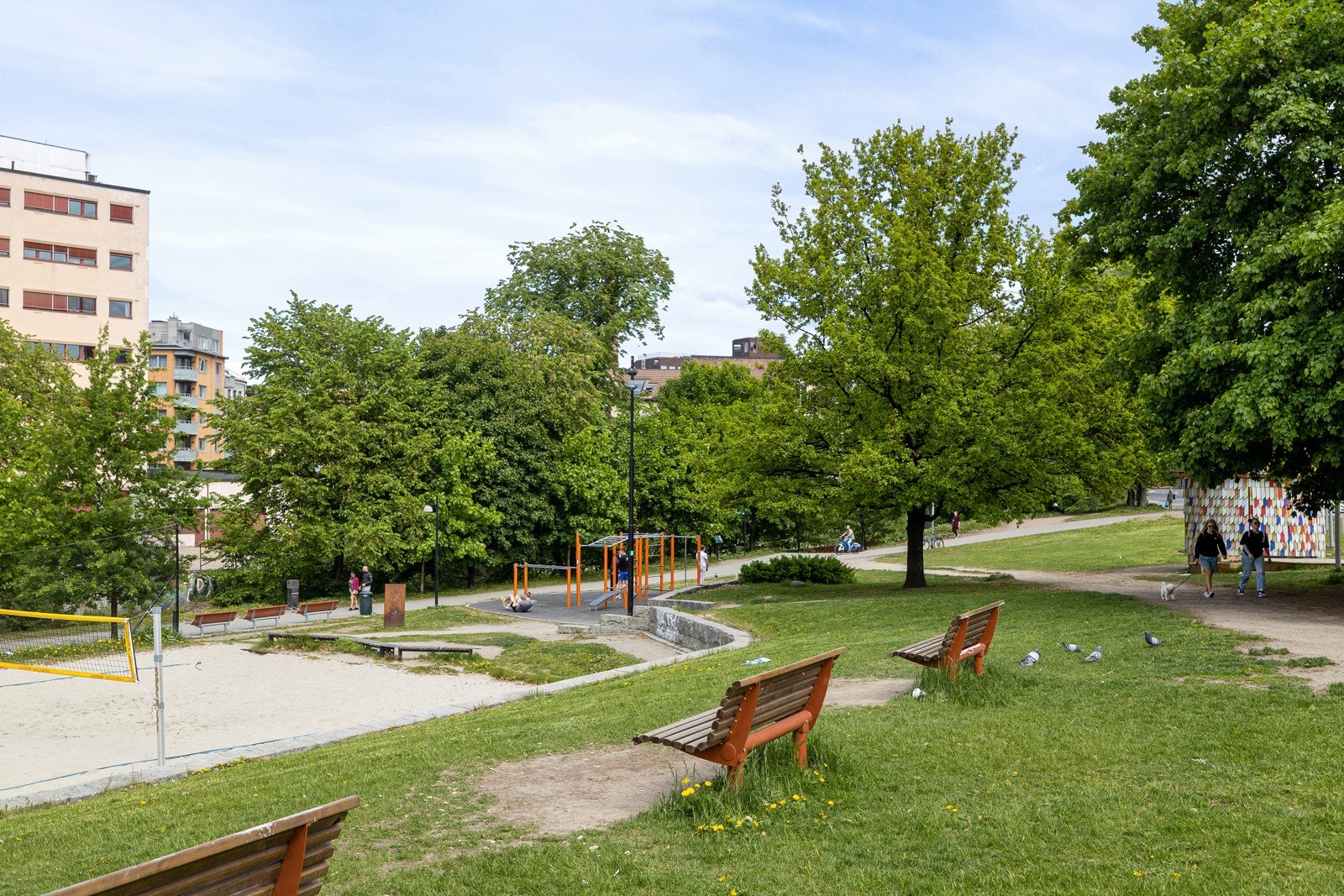 Nærområde Galleribilde