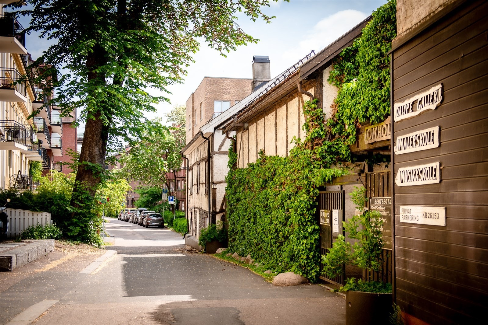 Nærområdet. Galleribilde