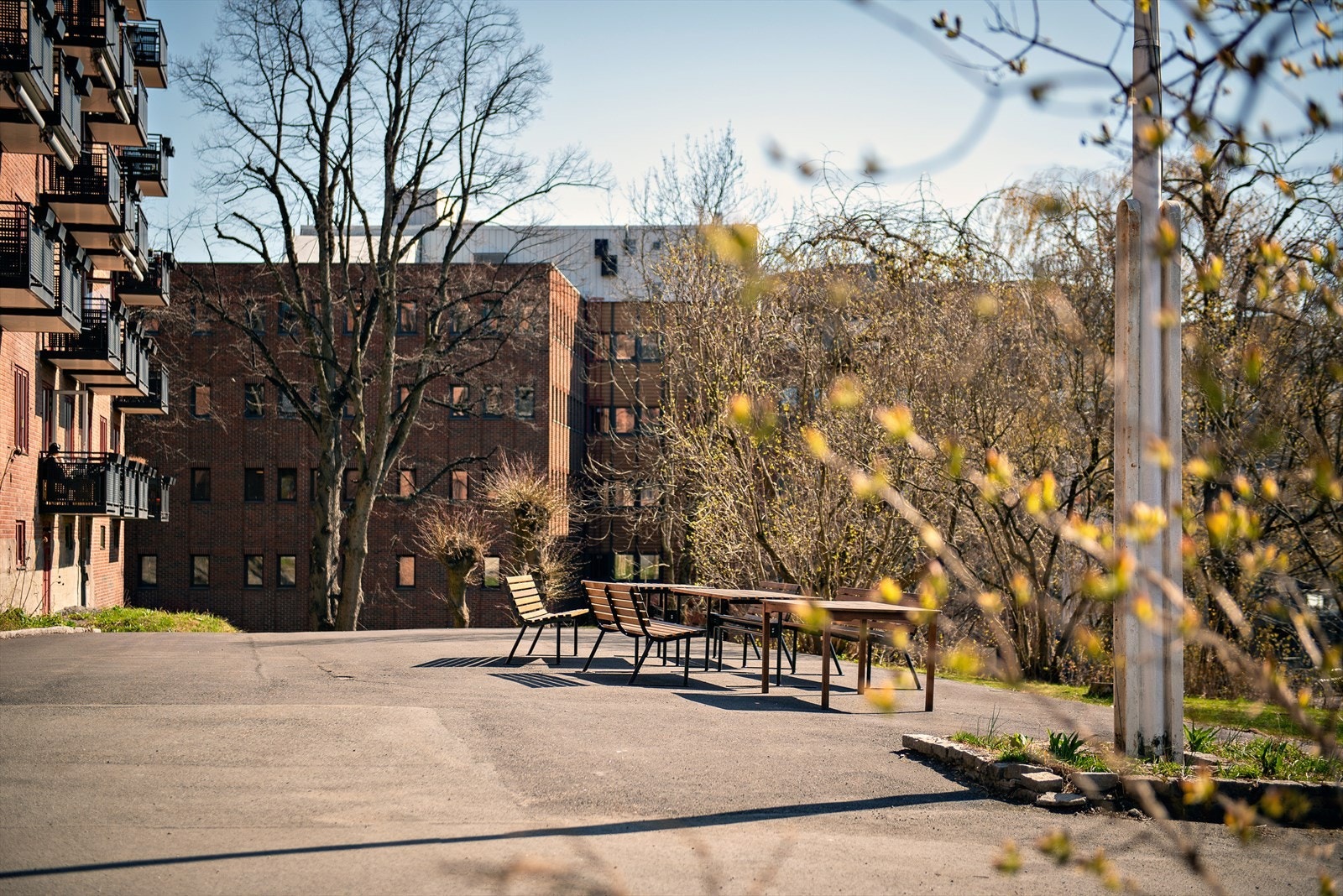 Fellesområdet er pent opparbeidet med blomsterbed og sittegrupper. Galleribilde