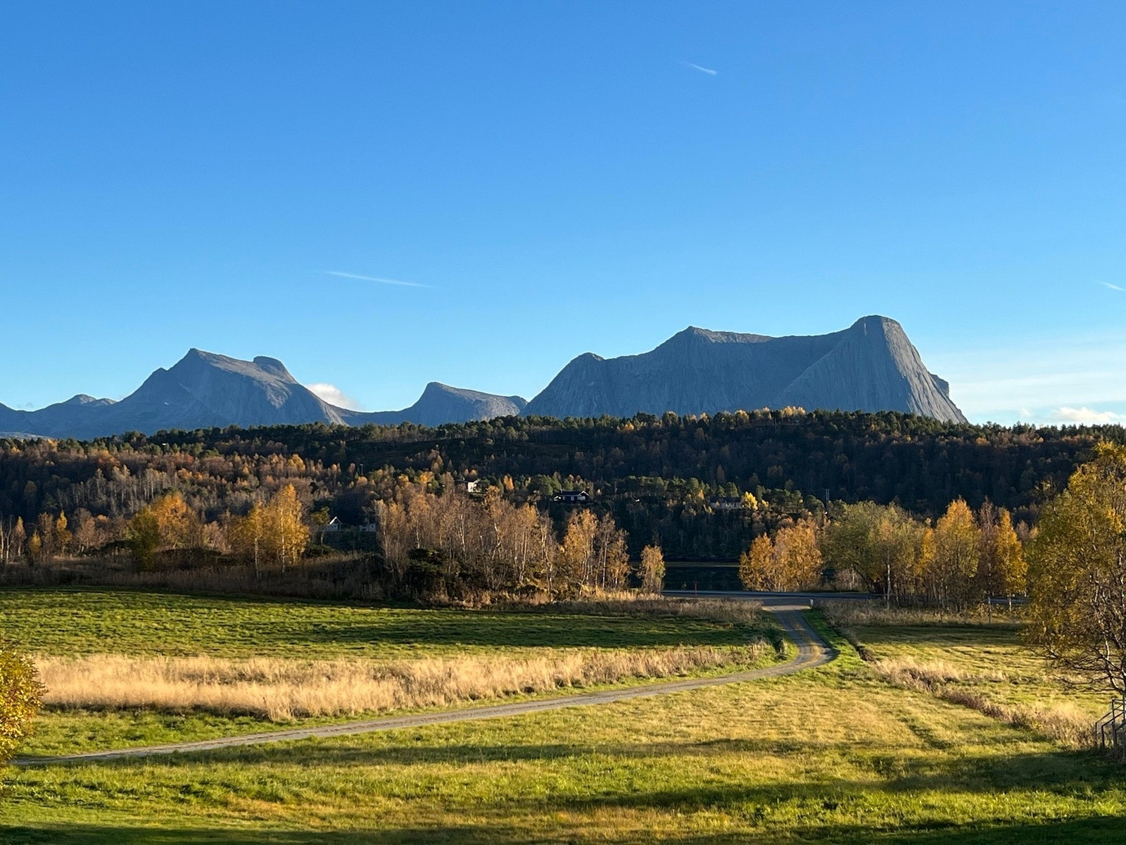 Flott utsikt Galleribilde