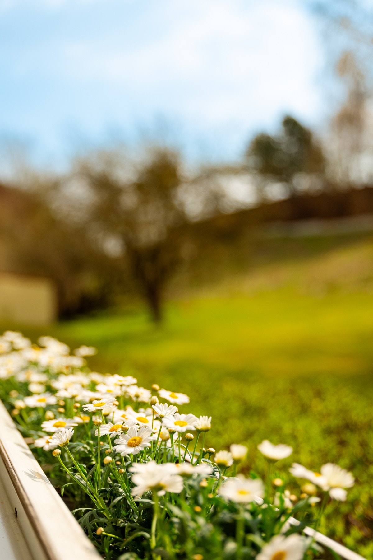 Solrik balkong uten innsyn. Galleribilde