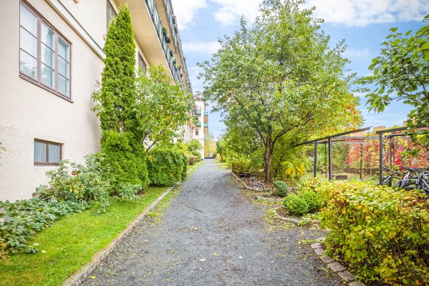 Pent opparbeidet fellesareal med fine beplantninger, busker og trær Galleribilde