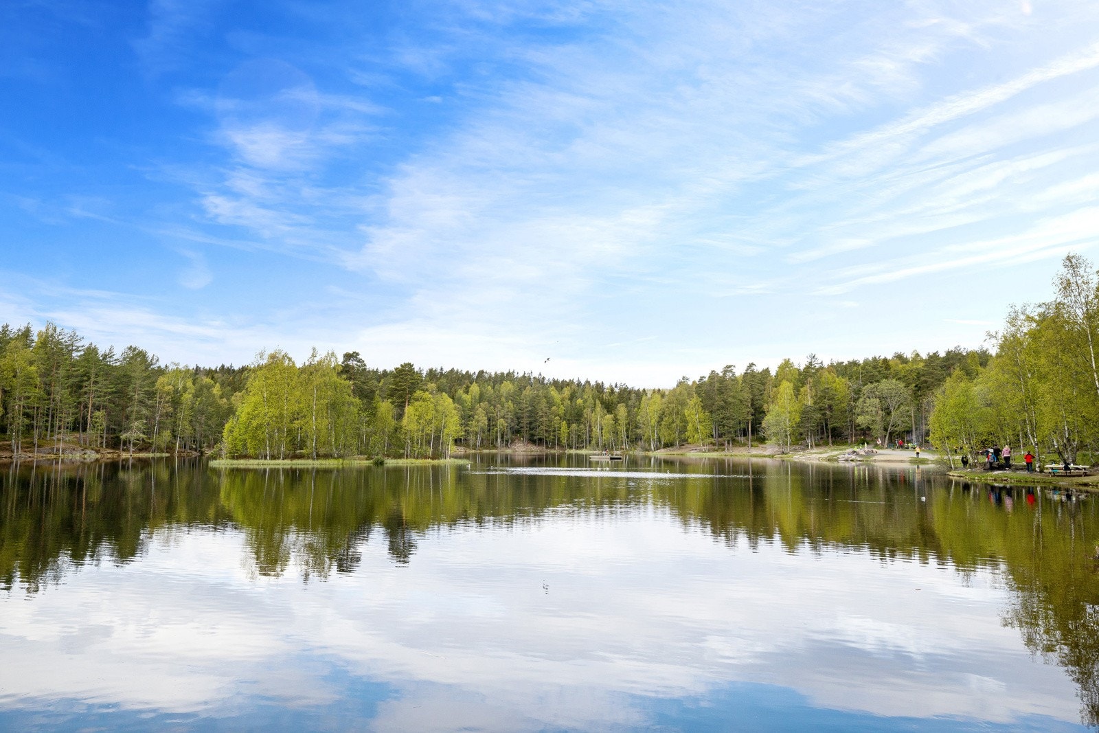 Vil du ha marka som nærmeste nabo? Galleribilde