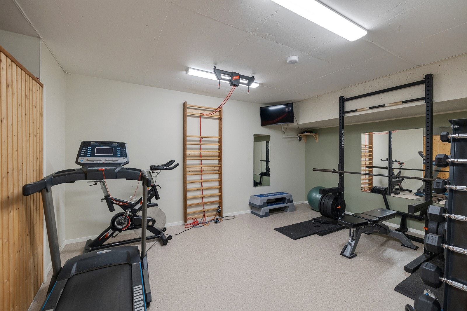 Felles trimrom. Galleribilde