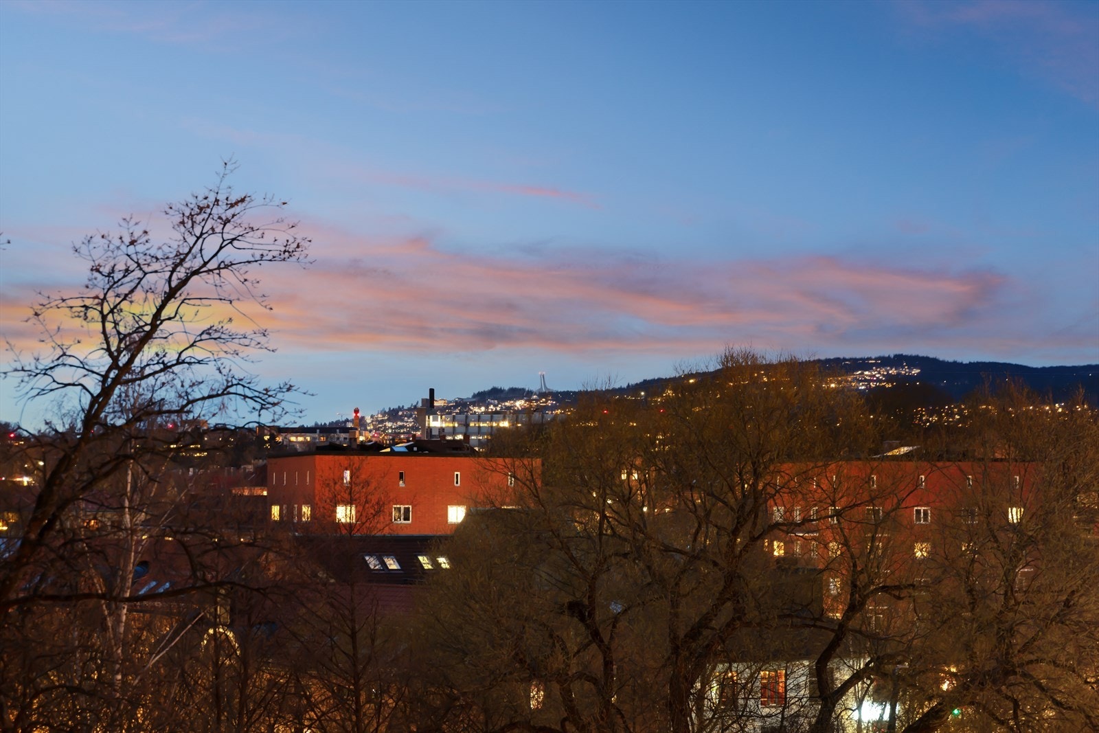 Idyllisk vestvendt utsikt mot Holmenkollen Galleribilde