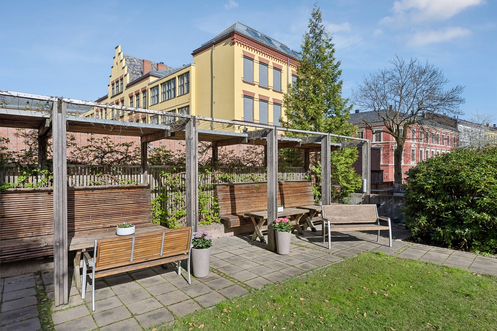 Bakgård. Galleribilde