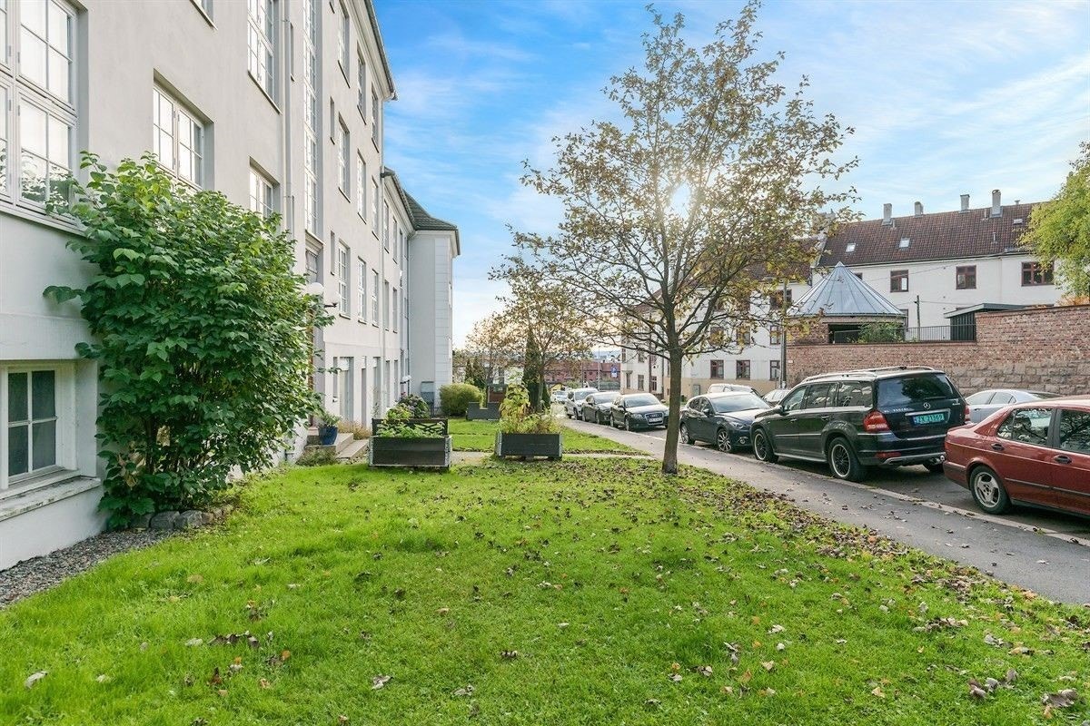 Urte-plantekasser er plassert på borettslagets tomt og styres av hagegruppen i borettslaget. Galleribilde