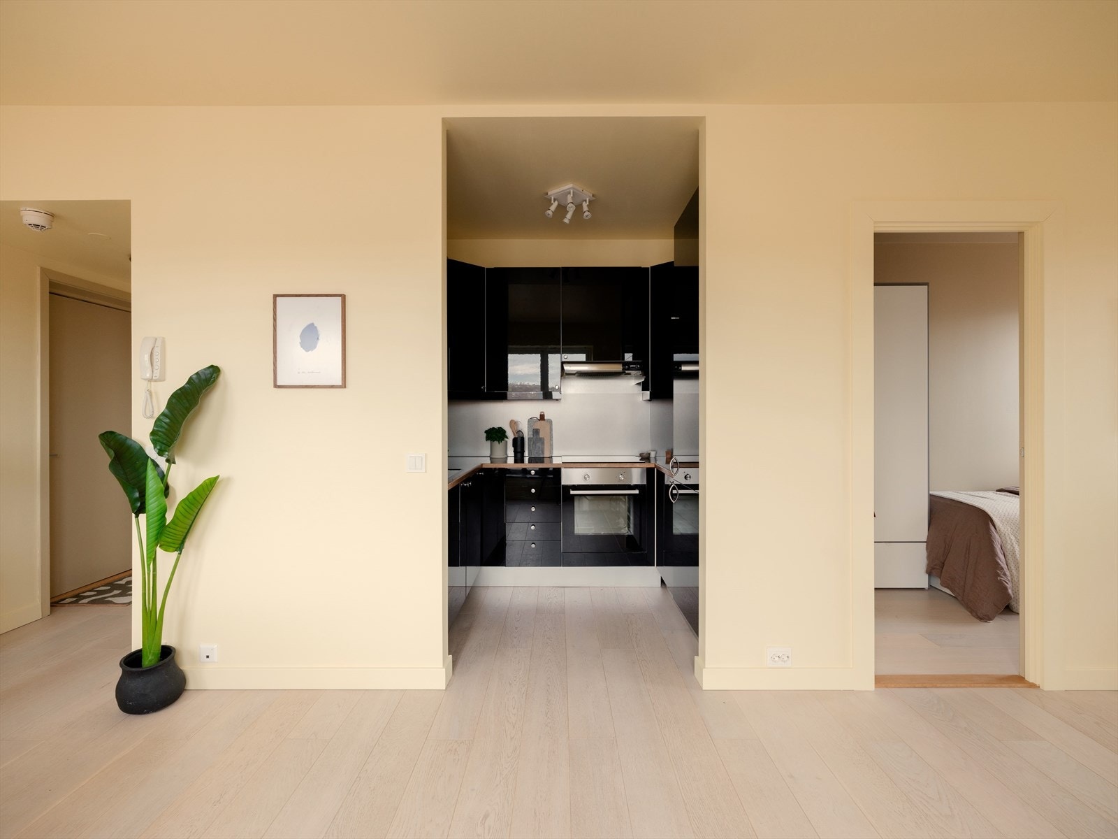 Den halvåpne løsningen mot kjøkkenet, gjør at kjøkkenet føles akkurat passe adskilt fra stuen, samtidig som det skaper en åpen og sosial romfølelse. Galleribilde