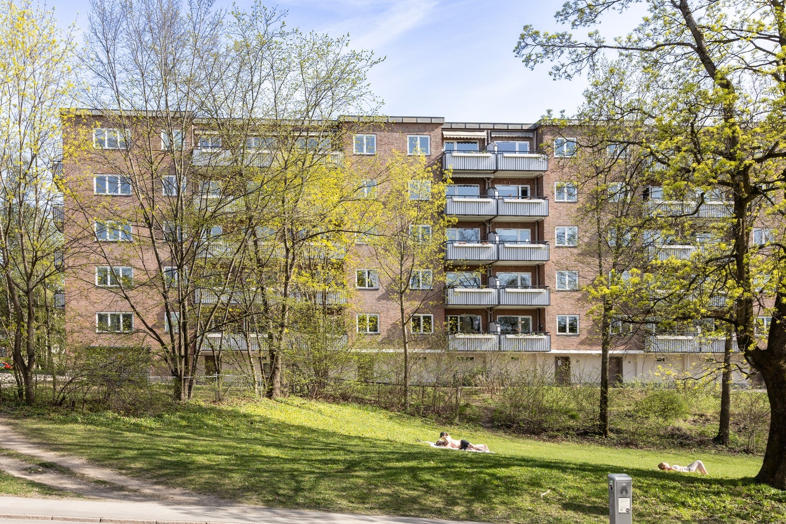 Grønne parkdrag rett utenfor leiligheten Galleribilde