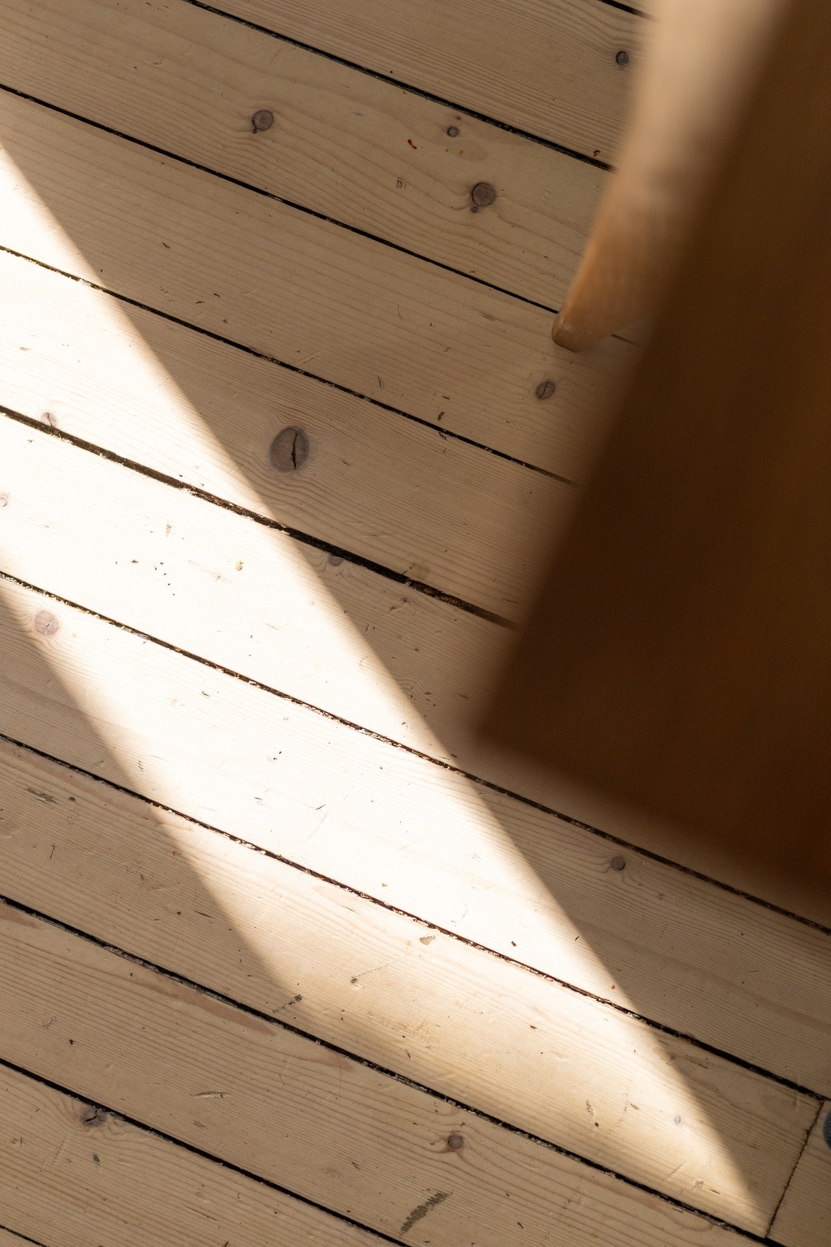 Flott, heltre furugulv Galleribilde