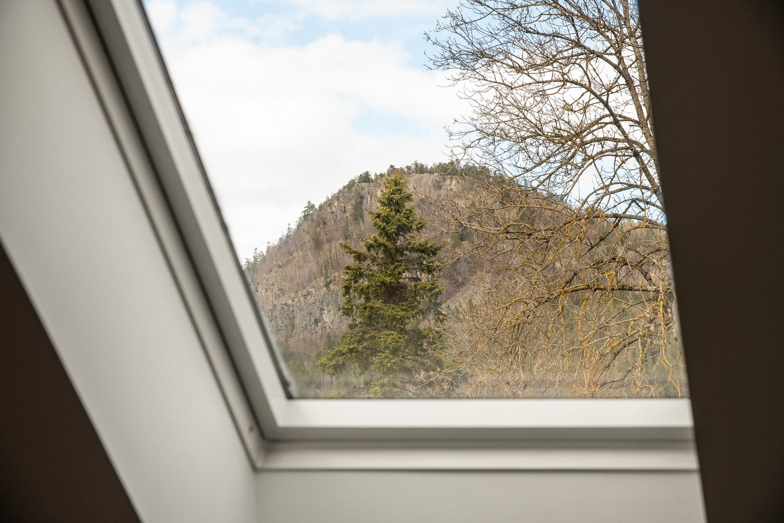 Kolsåstoppen og grønneomgivelser. Galleribilde