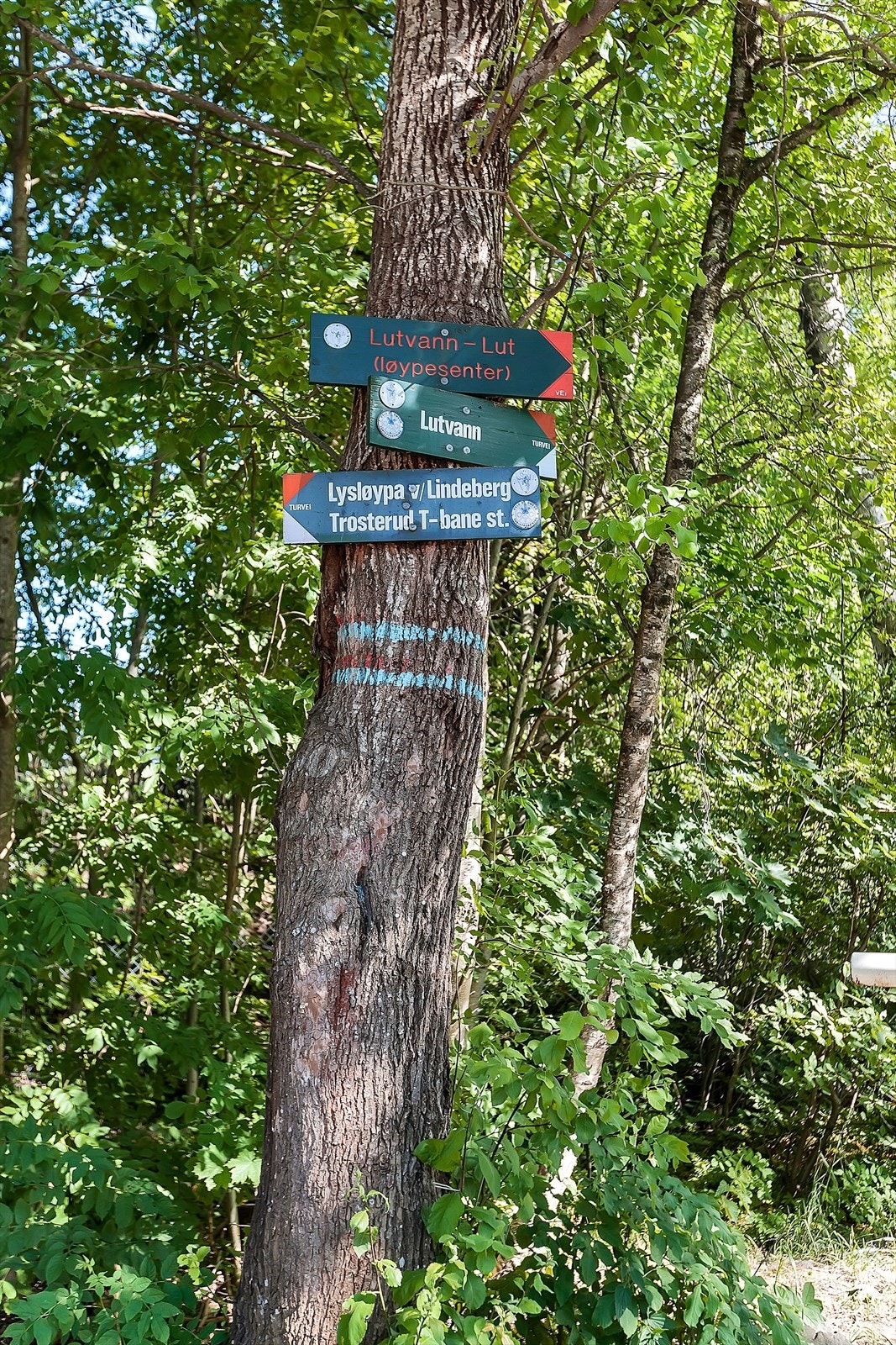 Østmarka byr på et mylder av stier, turveier og vann. Galleribilde