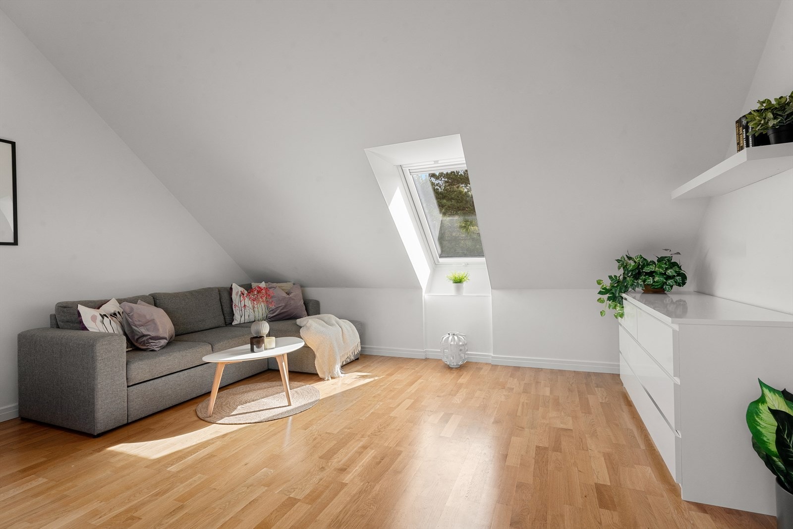 Gode møbleringsmuligheter Galleribilde