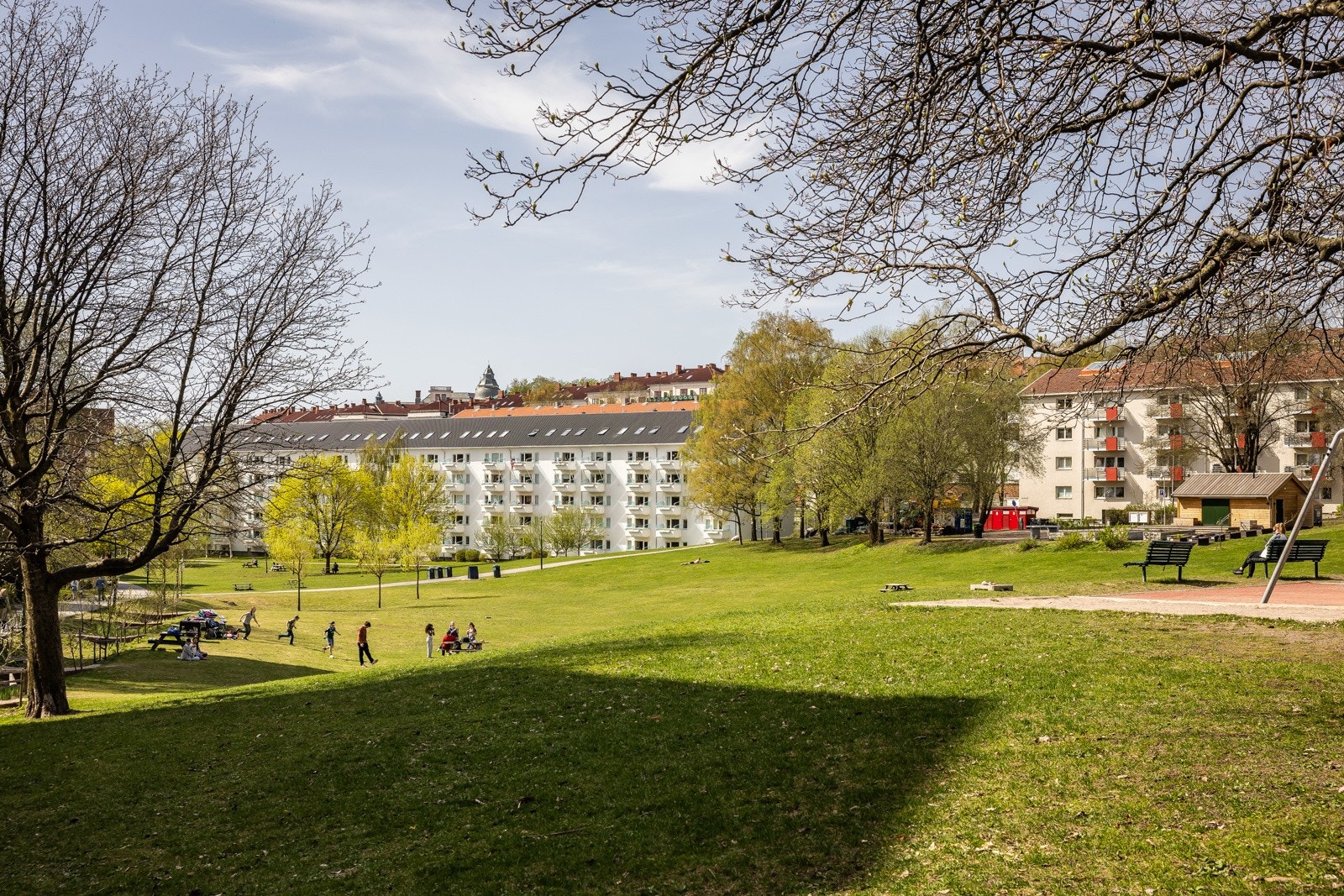 Leiligheten ligger rett ved flotte Iladalen Park - stig ut døren og nyt solrike dager! Galleribilde
