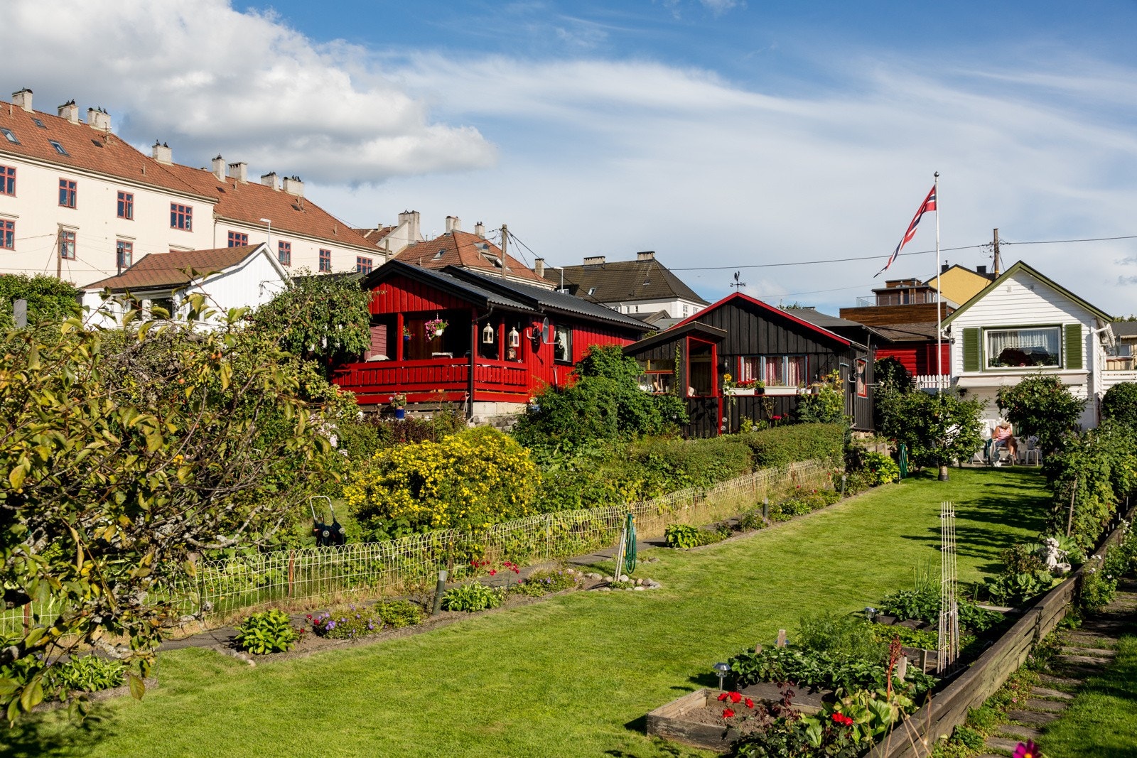 Rodeløkkens kolonihager på Rosenhoff. Galleribilde