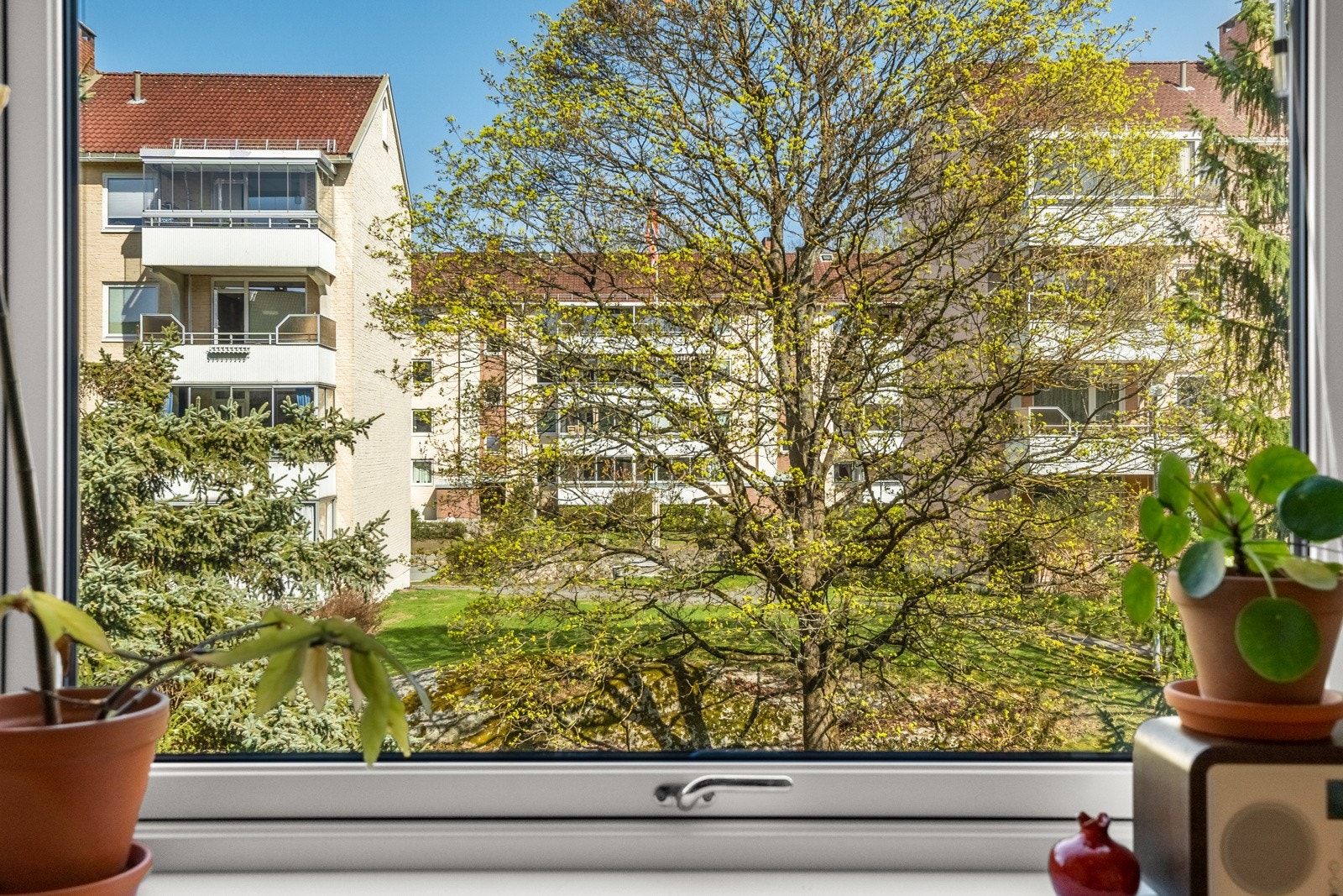 Nydelig utsyn fra kjøkkenvinduet. Galleribilde