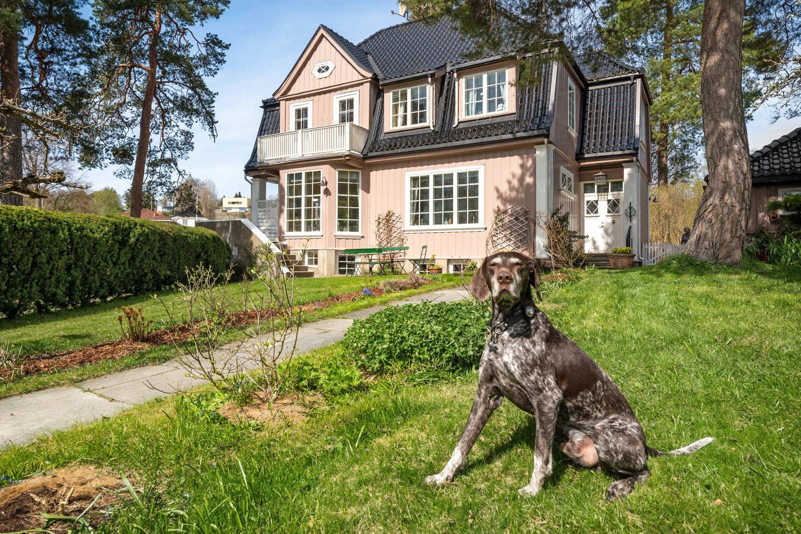 En fantastisk hage, til glede for to- og firbeinte. Charlie medfølger ikke salget. Galleribilde